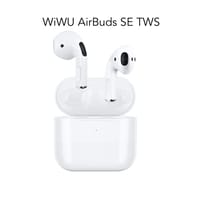 WIWU Airbuds SE True Wireless Stereo Ear Buds (ASTWSW)_img_0