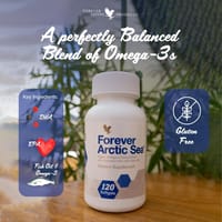 Forever Arctic Sea – ফোরএভার আরটিক সি_img_1