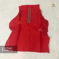 2.3 kg cat panjabi_img_0