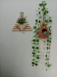 বাবুই পাখির বাসা (হোম ডেকর) কম্বো - ১_img_1