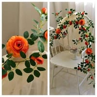 Most demanding rose vine_img_1