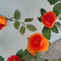 Most demanding rose vine_img_2