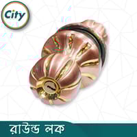 প্রিমিয়াম গুণমানের রাউন্ড লক রোজ গোল্ড রঙের নতুন মডেলের রাউন্ড লক সর্বজনীন কাঠের দরজার লক_img_2