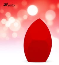 Everly Multifunctional Blender_img_1