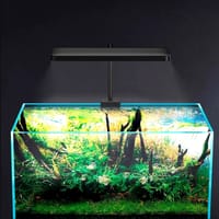 Frok P2 Mini(App Control) - 12W._img_4