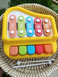 Vocal Piano -Red & Yellow_img_1