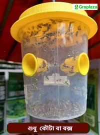 ফসলের মাছি পোকা দমনের ফেরোমন ফাঁদ / বক্স / কোটা_img_0