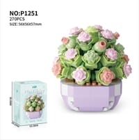 Succulent-Full House_img_0