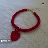 Nameplate collar_img_6