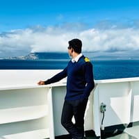 Pullover (Sweater)_img_3