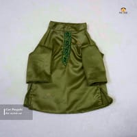 6,3 kg cat panjabi_img_1