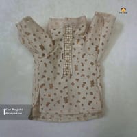 800 gm cat panjabi_img_0