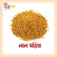 সরিষা_img_0