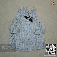 cat panjabi (5,2.5,2.3 kg)_img_0