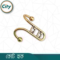 কোট হুক ফাইন ফিনিশড প্লেইন ডাবল কোট হুক ওয়াল হ্যাঙ্গার গোল্ডেন রঙের ১ পিস_img_2
