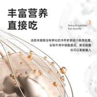 Decap Brine Shrimp 15gm.🐣_img_2