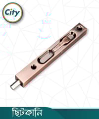 ৮ ইঞ্চি স্টেইনলেস স্টিল ফ্লাশ মাউন্ট টাওয়ার বোল্ট কনসিল ছিটকানি ফোল্ডিং ডোর বোল্ট অ্যান্টিক রঙের_img_0