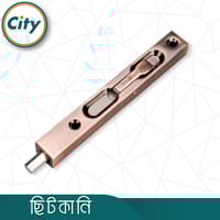 ৮ ইঞ্চি স্টেইনলেস স্টিল ফ্লাশ মাউন্ট টাওয়ার বোল্ট কনসিল ছিটকানি ফোল্ডিং ডোর বোল্ট অ্যান্টিক রঙের_img_1