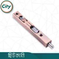 ৮ ইঞ্চি স্টেইনলেস স্টিল ফ্লাশ মাউন্ট টাওয়ার বোল্ট কনসিল ছিটকানি ফোল্ডিং ডোর বোল্ট অ্যান্টিক রঙের_img_2