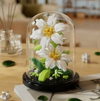 Lily Bloom (with Dust Cover)_img_0