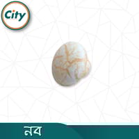 ১ পিস নতুন মডেলের ফার্নিচার নব ফার্নিচার ডেকোর ফ্যাশনেবল নব ক্যাবিনেটের ড্রয়ার নব_img_2