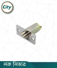 ১ পিস রাউন্ড লক লিভার সিঙ্গল লক বডি জিহ্বা লাচ ডোর লক একক জিহ্বা লক কেস ফিটিং_img_0