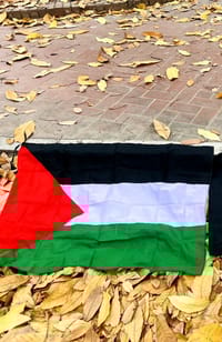 ফিলিস্তিন পতাকা_img_0