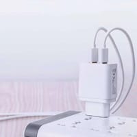 Sannai SA-40 12W Dual Port Fast Charger – MicroUSB & Type-C_img_1