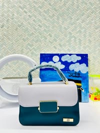 Ladies Stylish Bags BG005_img_3