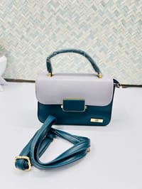 Ladies Stylish Bags BG005_img_4