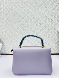 Ladies Stylish Bags BG005_img_5