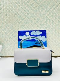 Ladies Stylish Bags BG005_img_6