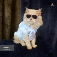 Cat hoodie (3.5,3 ,2.3,1 ,1.7kg)_img_1