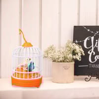 Bird Talking Singing And Bird Chirping For Kids Rechargeable Battery With Charging Cable_img_4