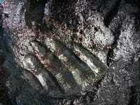 মহুয়া লেপিং  (২০০ গ্রাম) - Mahua Leaping ( 200 grams)_img_2