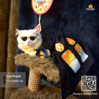 cat frock(3.5 kg)_img_1