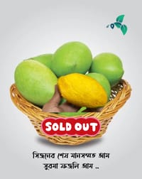 সুরমা ফজলী আম (Surma Fazlee Mango)_img_0
