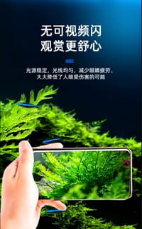 X-GD Full Spectrum Wrgb Lights.🌈_img_3