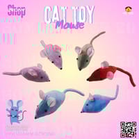 Cat toy_img_0