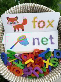 Fox Net_img_1