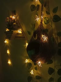 বাবুই পাখির বাসা (হোম ডেকর) কম্বো - ৪_img_1