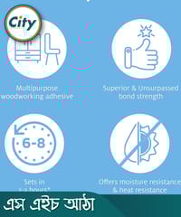 পিডিলাইট ফেভিকল এস এইচ বহুমুখী কাঠের সিন্থেটিক রজন আঠালো সব আকার উপলব্ধ_img_1