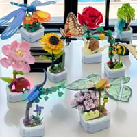 Butterfly Rose Succulent Potted Plant_img_2