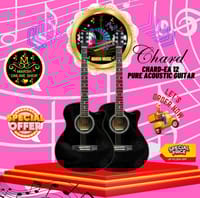 🔰👉𝗖𝗵𝗮𝗿𝗱-𝗘𝗔 𝟭𝟮 𝗣𝘂𝗿𝗲 𝗔𝗰𝗼𝘂𝘀𝘁𝗶𝗰 𝗚𝘂𝗶𝘁𝗮𝗿_img_0