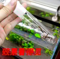 Planaria Leech Worm Trap - 3holes.🪱_img_3