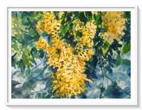 Golden Cascade-2_img_0