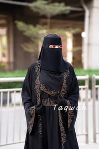 Jannat Borka Set_img_2