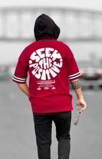 WE Hoodie T Shirt Maroon_img_3