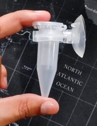 Brine Shrimp Feeder🍼_img_4