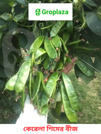 কেরেলার সিমর / শিমের বীজ । Kerala Sim seeds_img_0